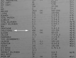 Biocheminiai kraujo tyrimai duoda labai daug informacijos. Padidėjęs cholesterolio kiekis skatina į galimų diagnozių sąrašą įrašyti ir hipotiroidizmą. Ar pastebėjote padidėjusius amilazės ir lipazės tyrimų rezultatus aukščiau sąraše? Šie rodikliai rodo pankreatitą, būtent šia liga šis šuo ir serga.